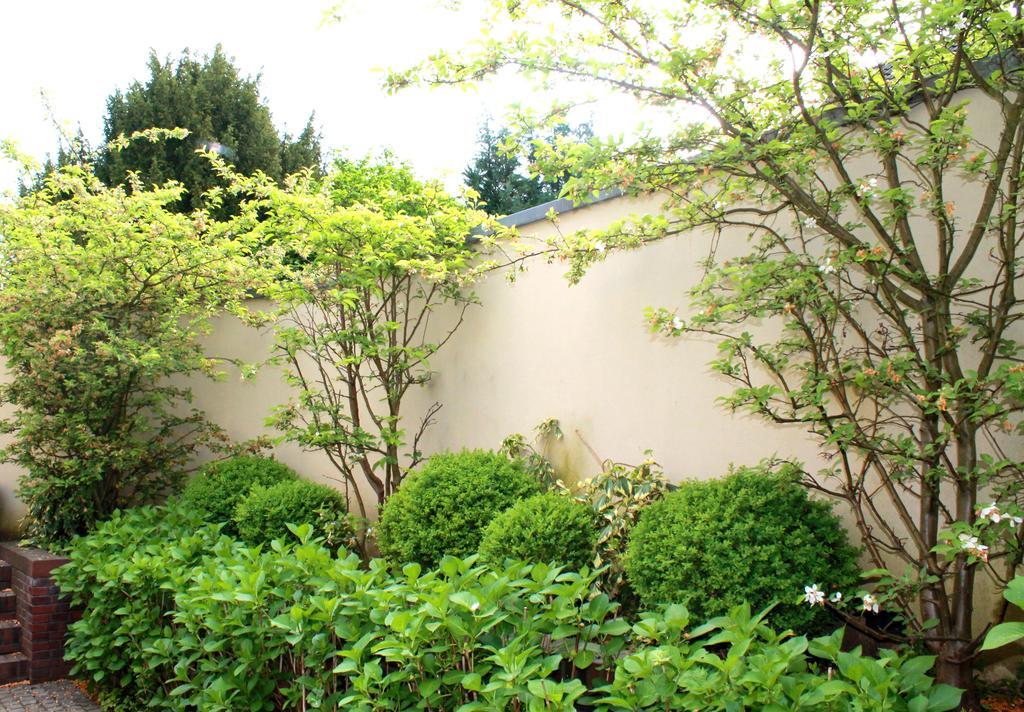 Venusberghotel Bonn Eksteriør bilde